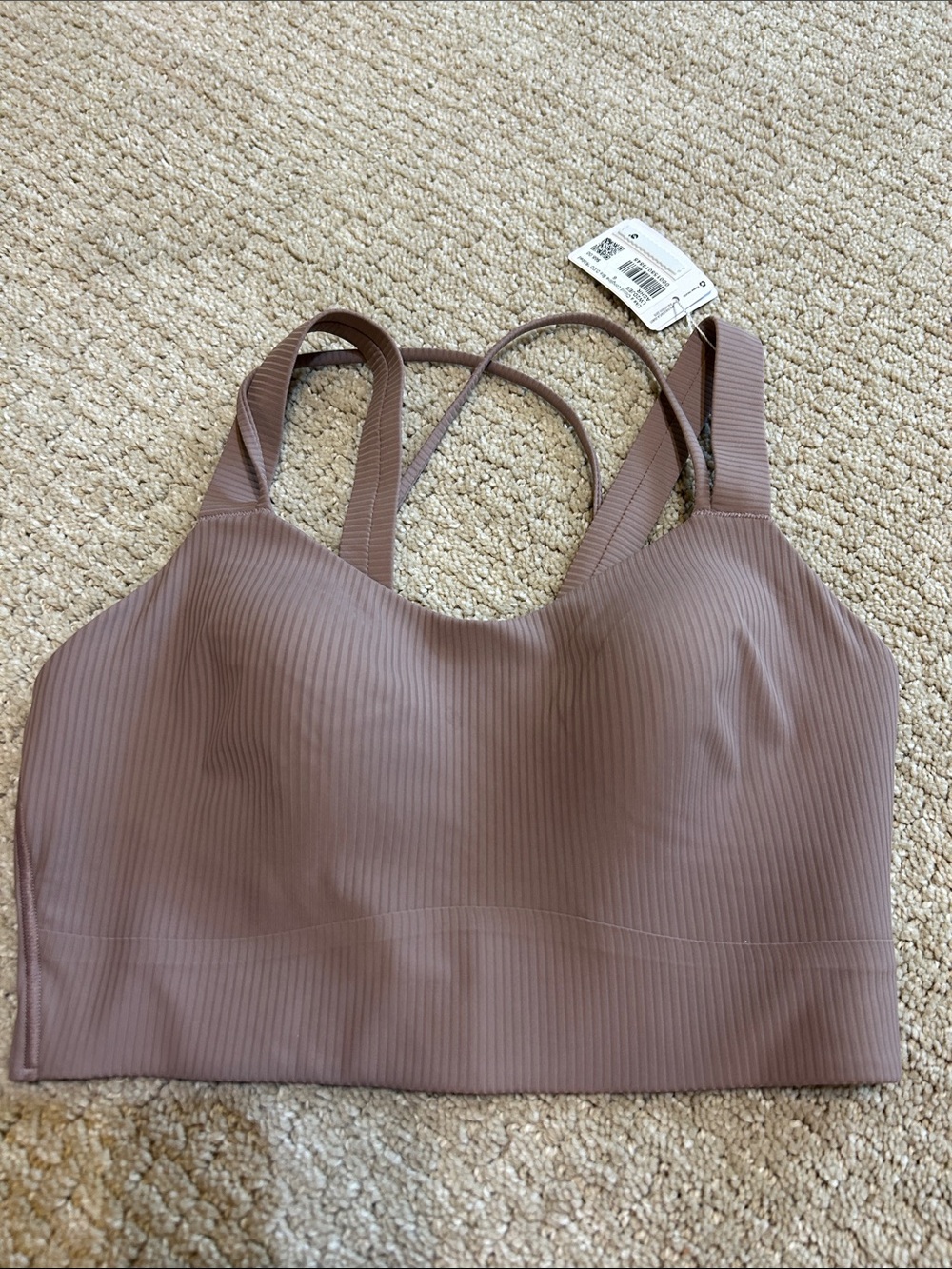 Like a Cloud Longline Bra D/DD size 6 NWT